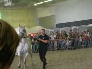 Salon cheval , christophe aux commandes