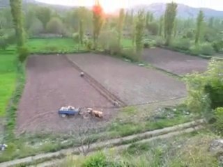 içanadolu bölgesinde  hasat ekimi ve çapalama