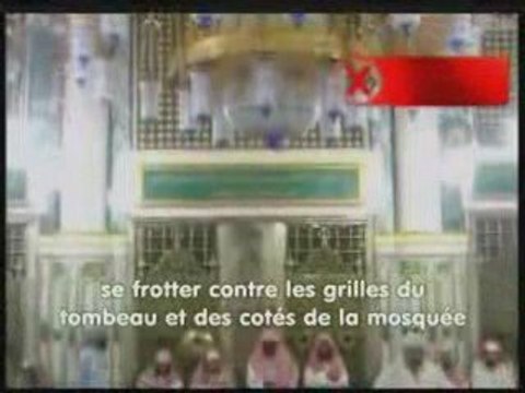Hadj (pèlerinage) [8-8] La visite de la Mosquée du Prophète