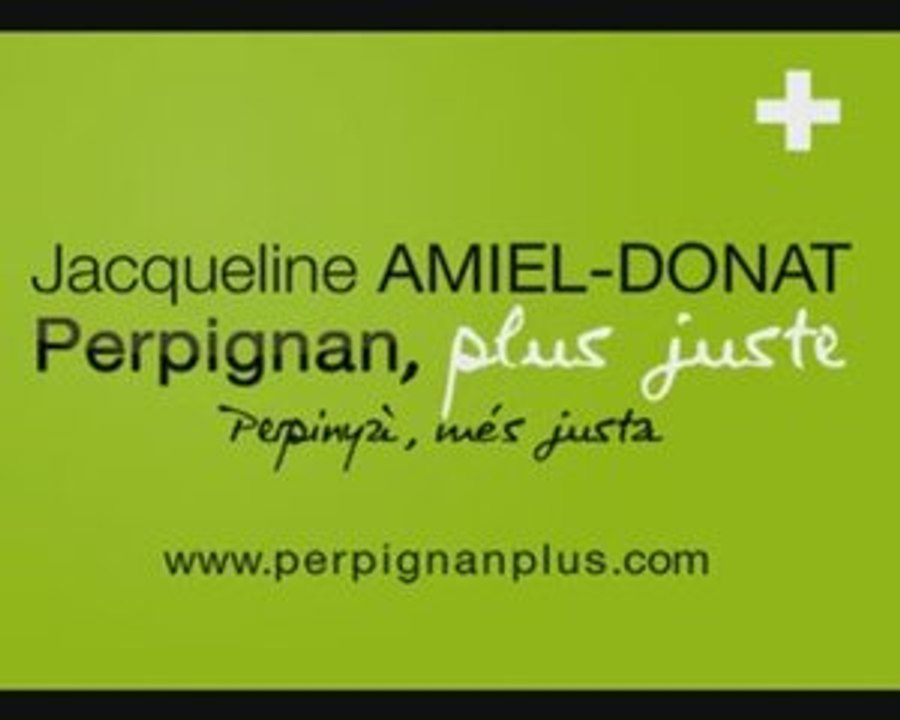 Scrutin annulé pour fraude massive - Perpignan 23 avril 2009