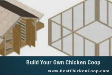 Chicken Coop Building Plans