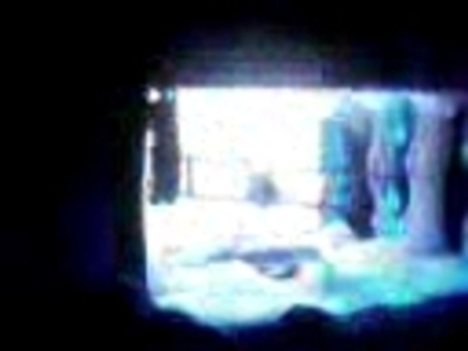 CASI ANGELES EN EL GRAN REX  2008 - DOS OJOS