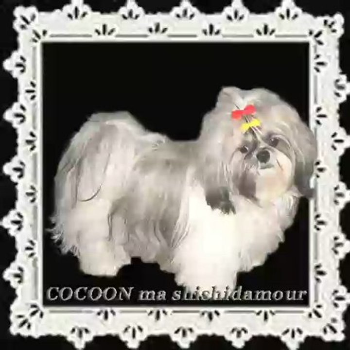 Cocoon et Bonie... Bonie et Cocoon