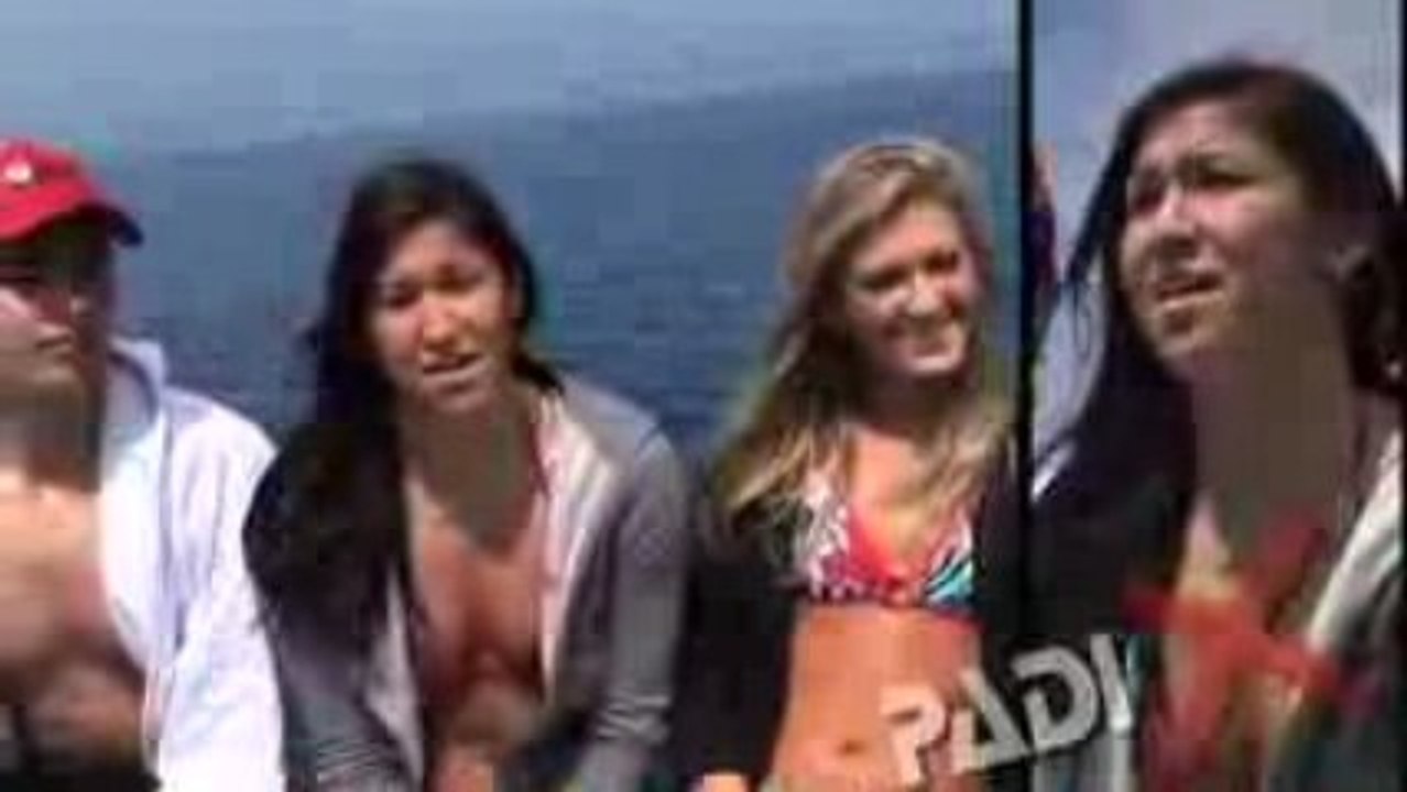 Padi X