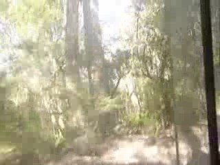 2009-04-25 4X4 sur Fraser Island 1