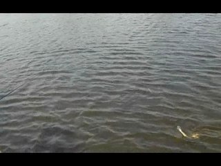 Fiascos de pêche, Partie 4 Irlande 2009