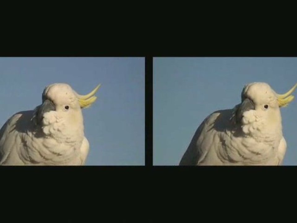 Australia in 3D