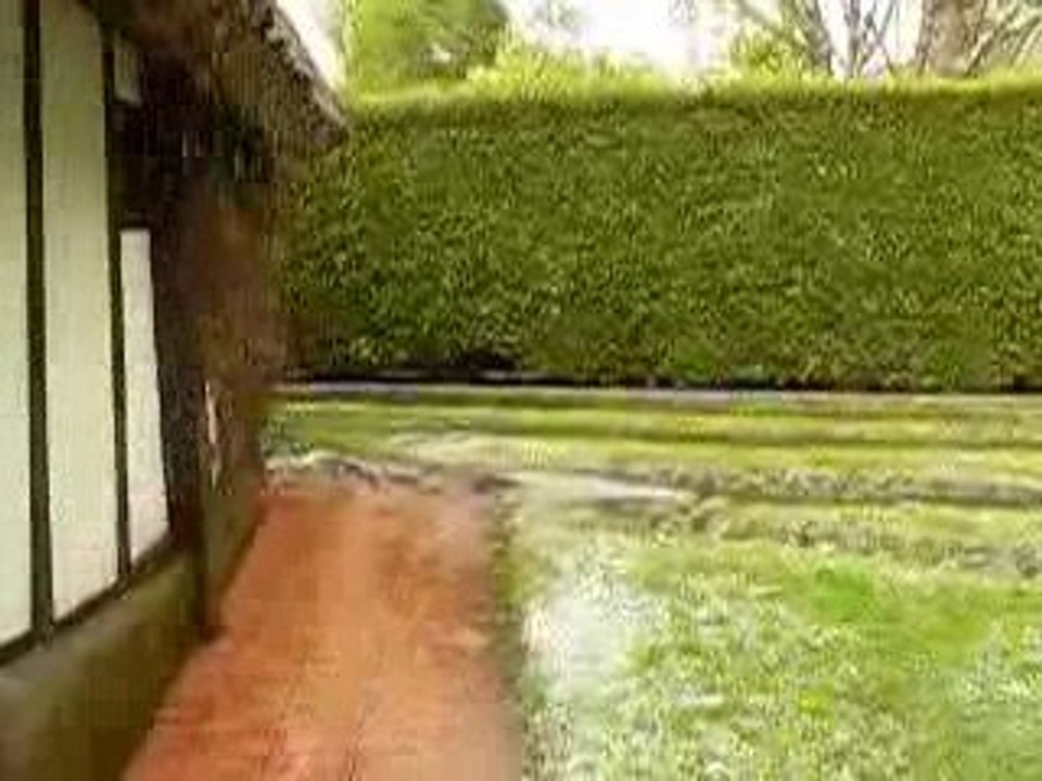 Pluie de giboulés dans le jardin