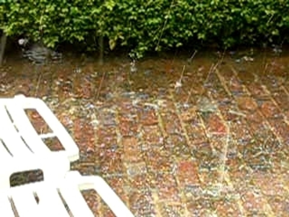 Déluge de giboulés dans le jardin