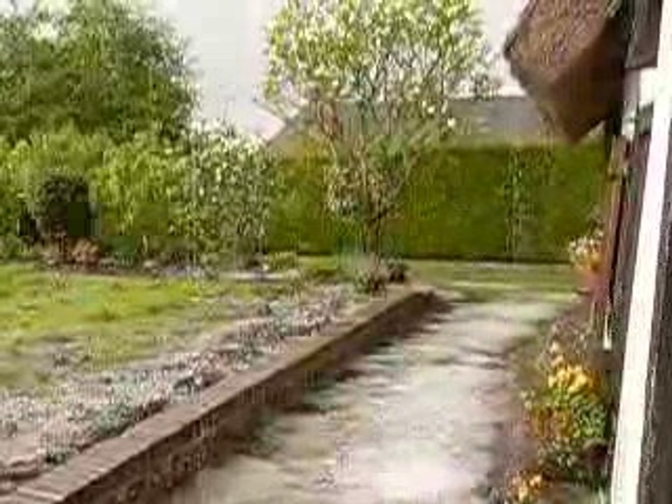 Déluge de giboulés dans le jardin