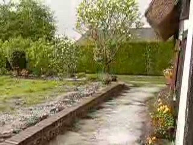 Déluge de giboulés dans le jardin