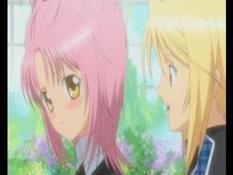 Shugo chara ! amv ikuto tadase kukai love triangle Alphabeat