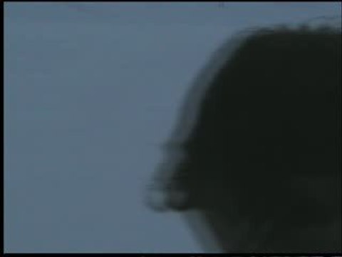 Dragonus crashé sur la neige