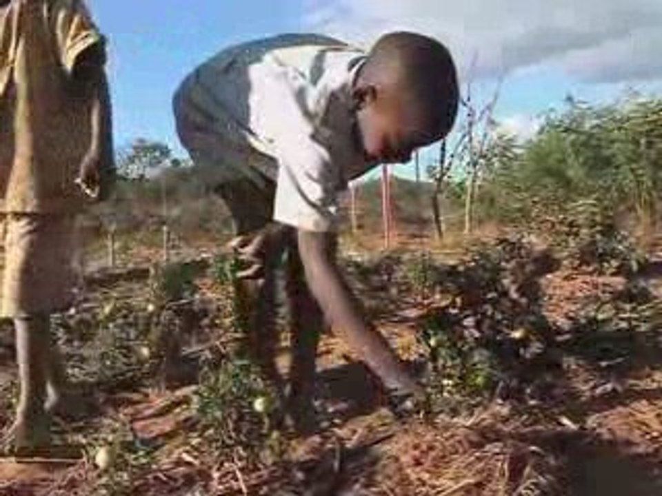 Zambia: Water making a difference