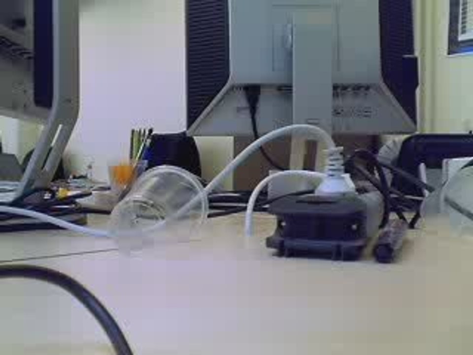 Webcam 1241018924529