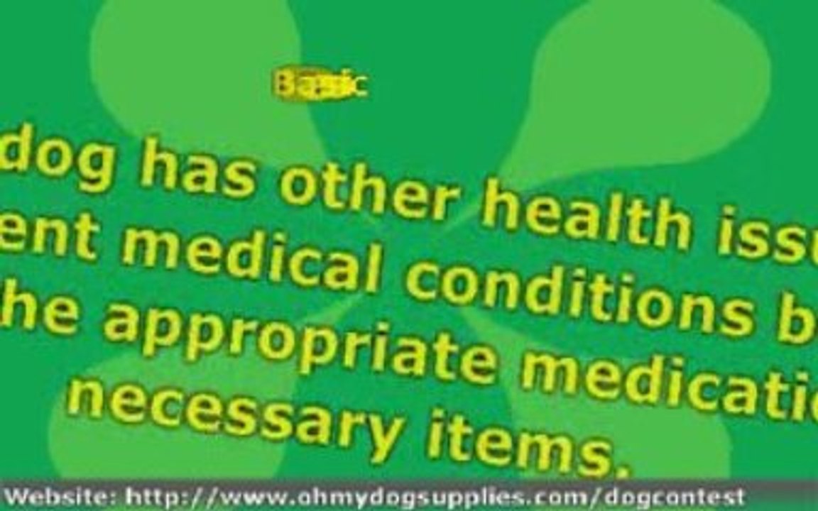 Are you Prepared in a Dog Emergency