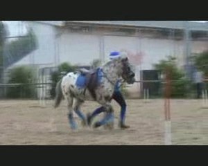 pony games blue star