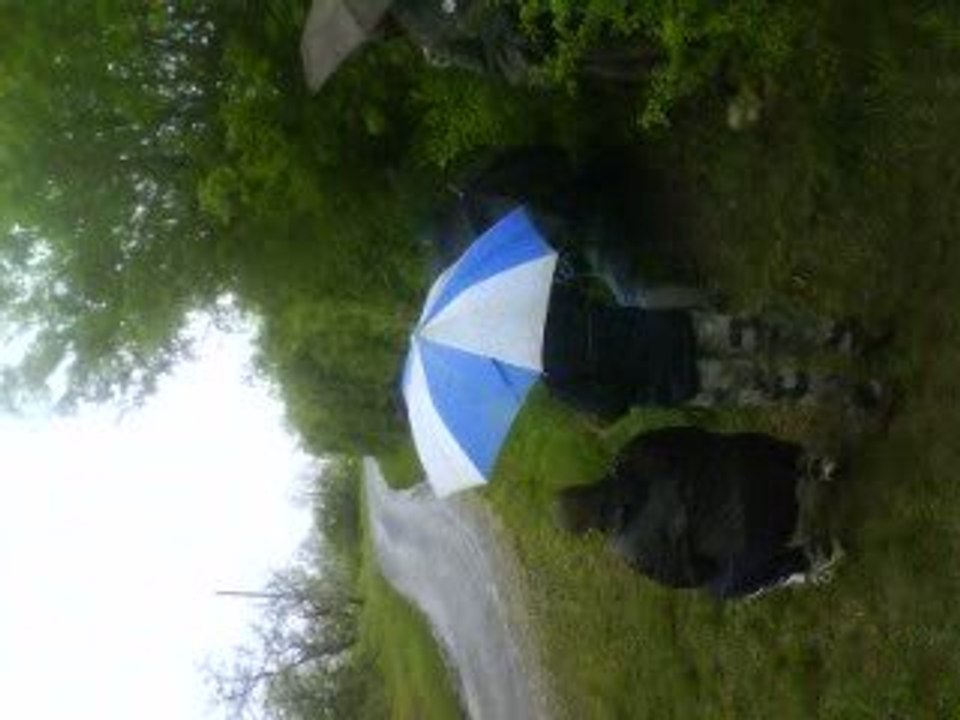 rallye du quercy 2009