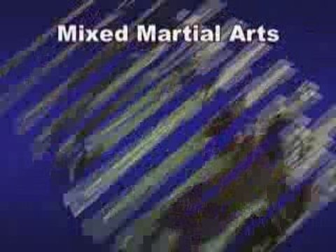 Baas Sports Curacao Muay Thai Kick Boxing Mixed Martial Arts