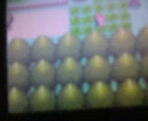 Capture de LIXI Shiney