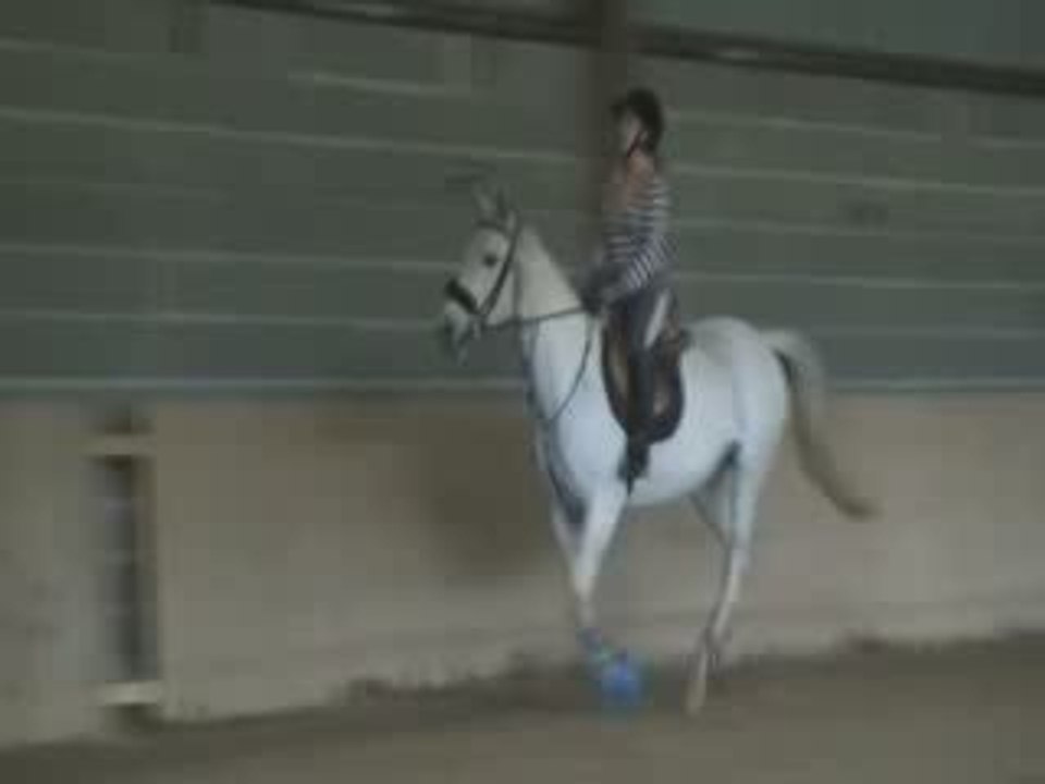Croix galop
