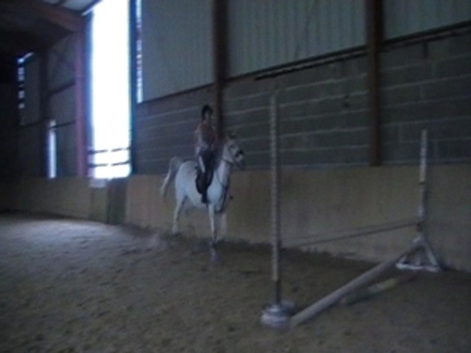 Vertical (4)