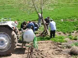 Yukarı hacıahmetli köyü ağaç dikme günü