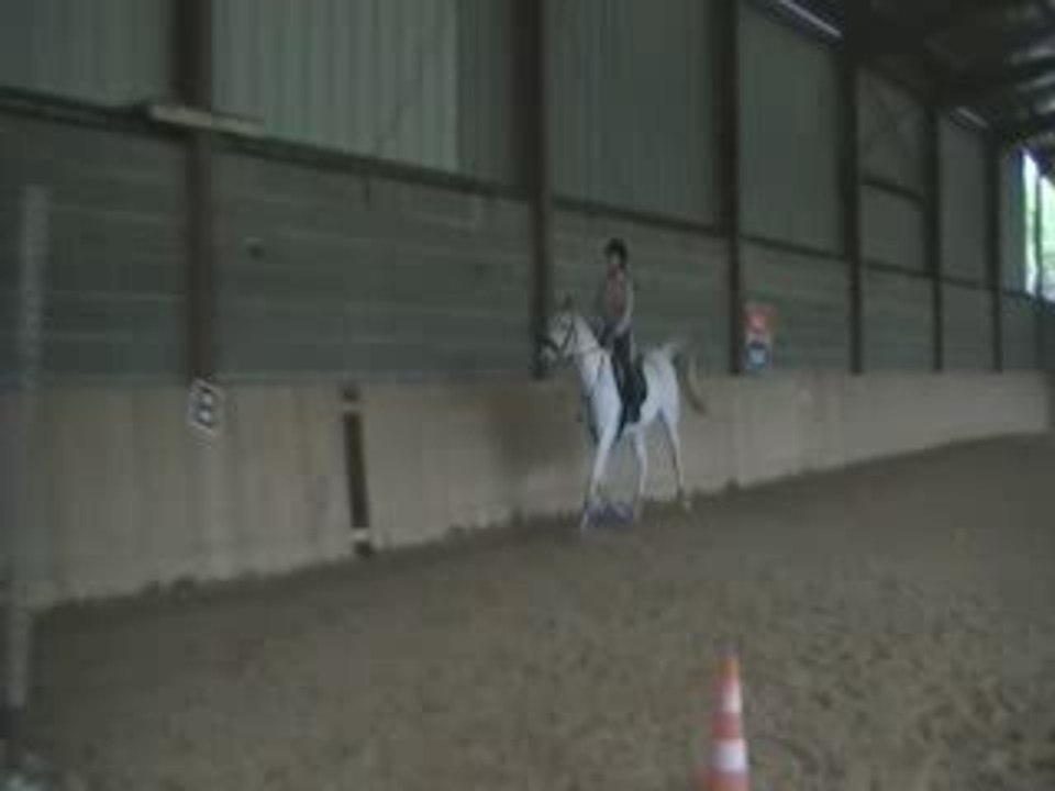 Vertical au trot