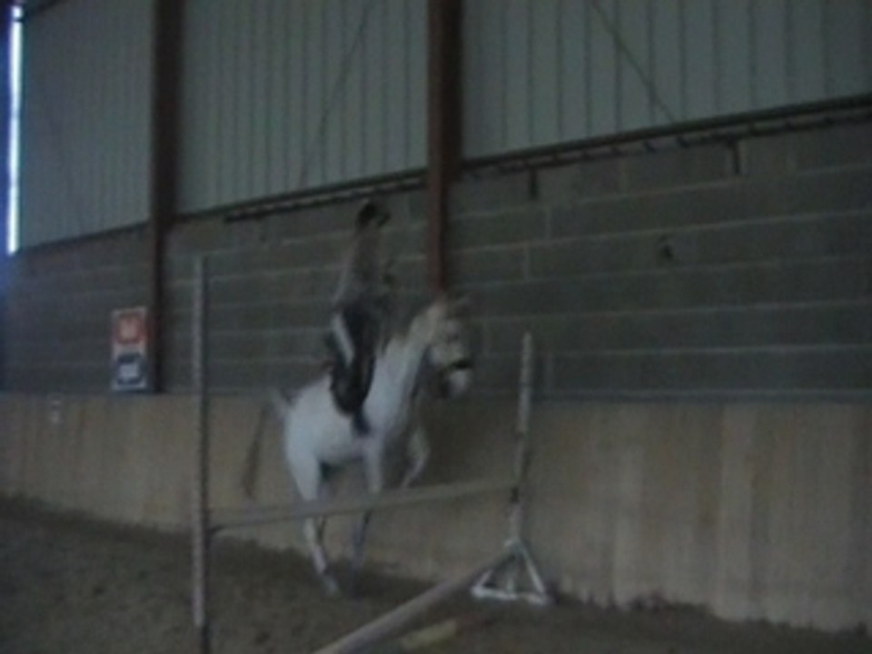 Vertical main droite