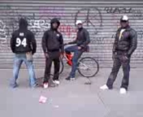 Black skin 94 B.S.L. ZOO Blackstone Maga-lascar Freestyl