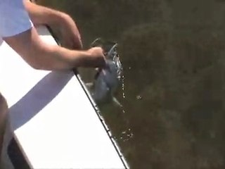 Jekyll Island Fishing in Georgia