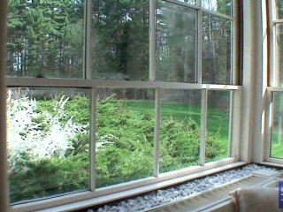 81 Elm Street, Medfield, Massachusetts (MA) real estate & ho