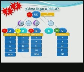 7 Niveles de Ingreso (3 de 3) Oportunidad Negocio FM GROUP