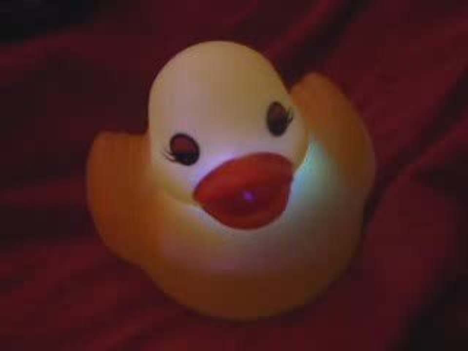 Canard