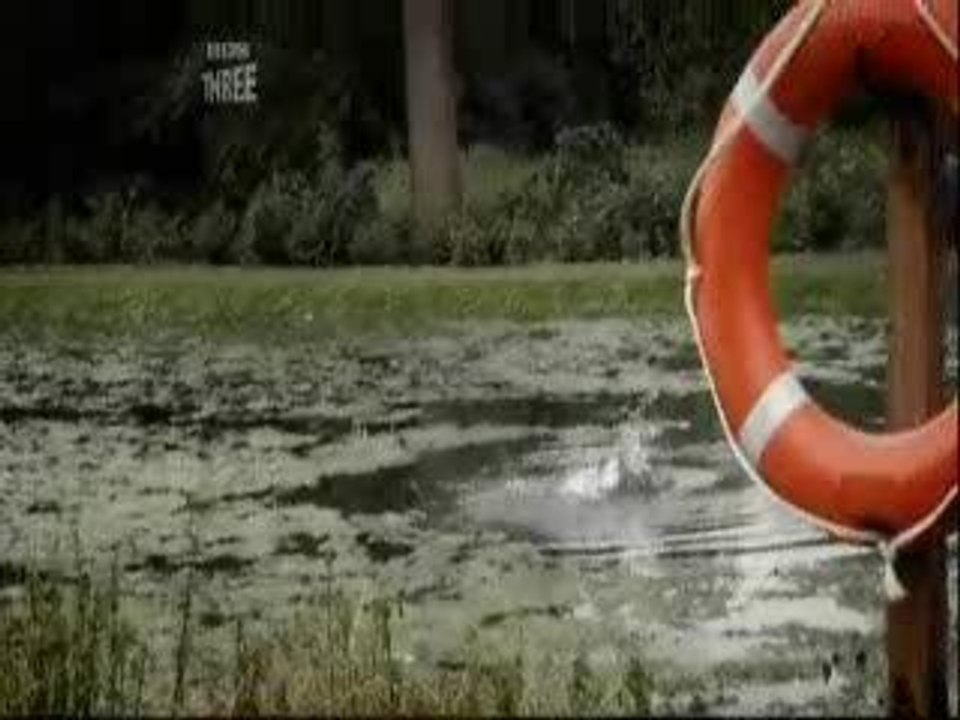 Stupid Female Lifeguard