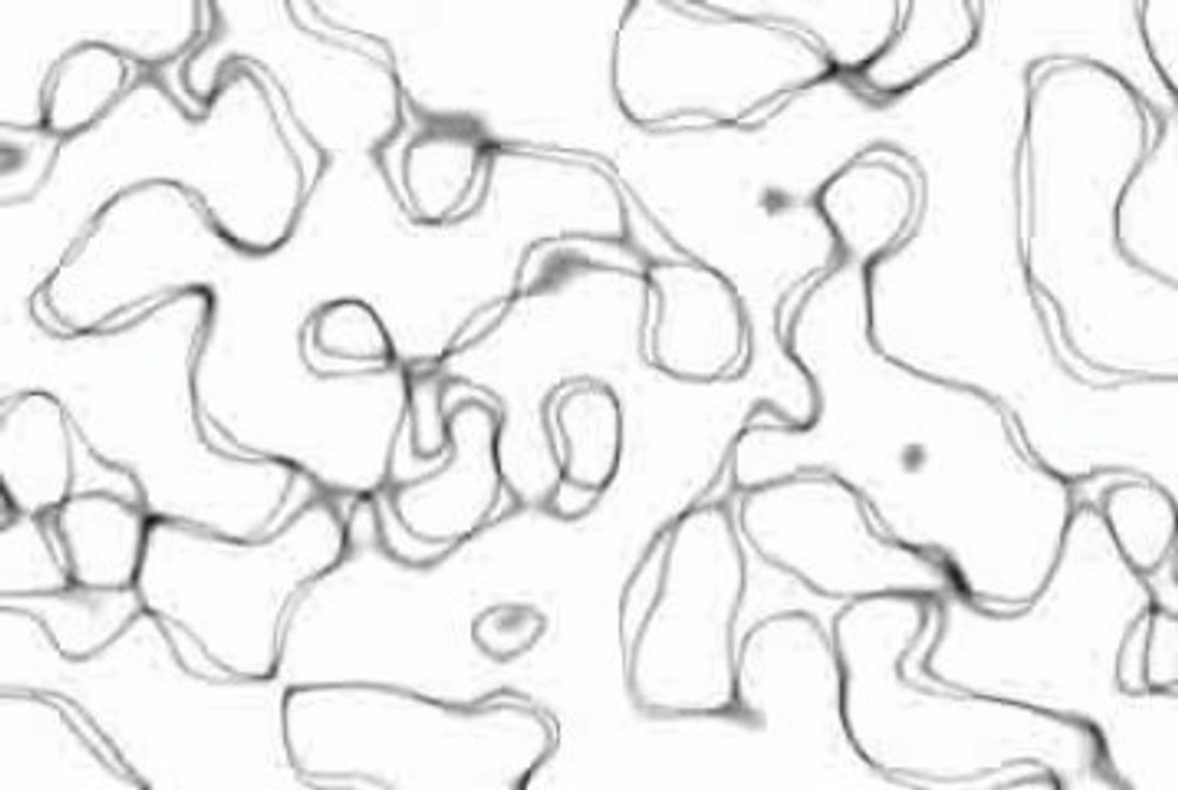 Intro definie pour toute les video