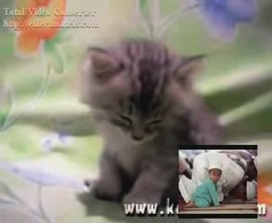 Allah -ilahi