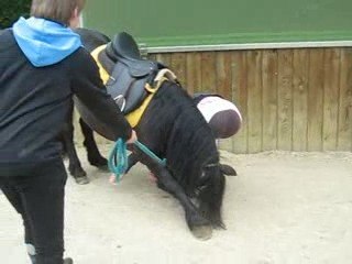 Nick qui fait le révérance !!