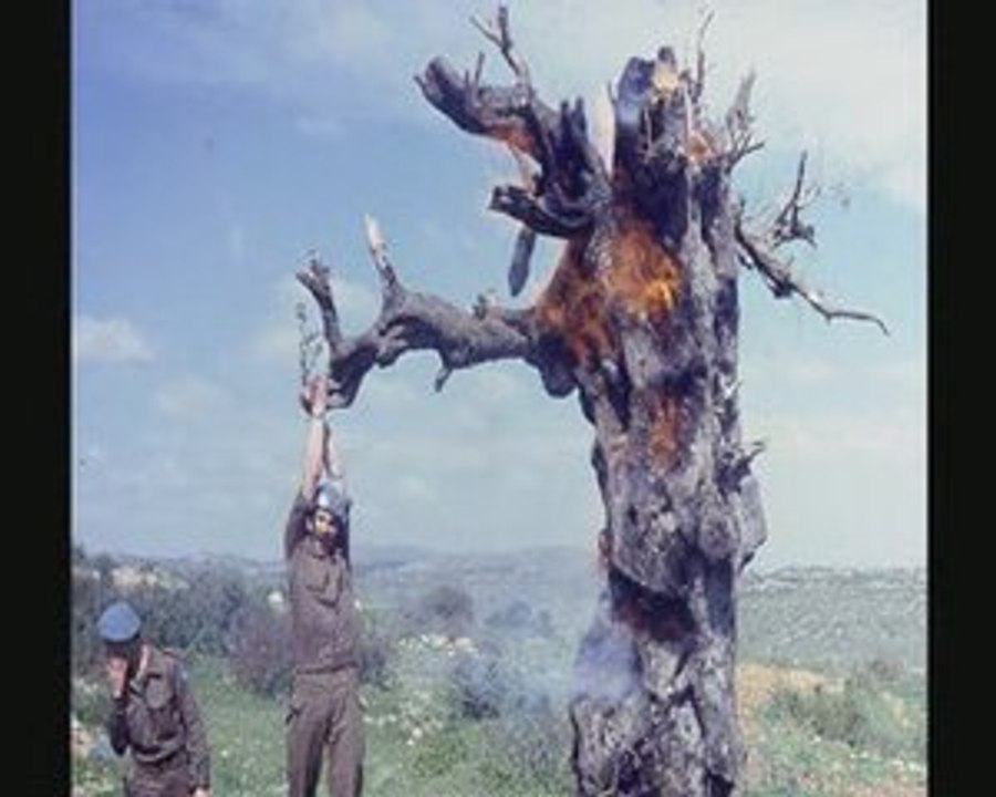 Libanon Het was maar een Droom.