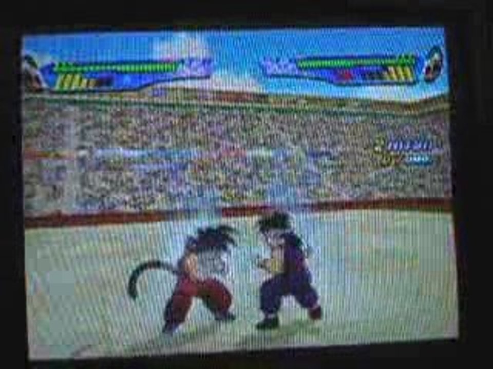 Bug Budokai 3 n°2 Stop Temps!