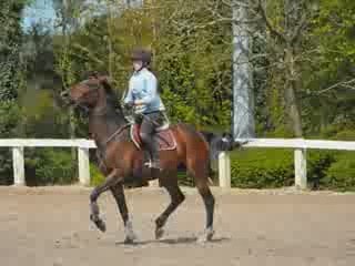 Séance du 1er Mai 2009.