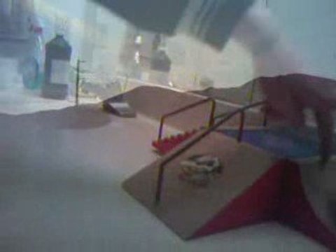 at ebay feat species cruzing