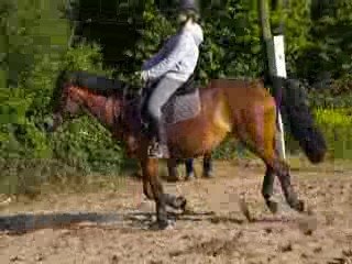 Galop Marie-Anne et Idylle