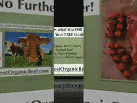 BestOrganicBeef.com grass fed organic beef, grass fed bee...