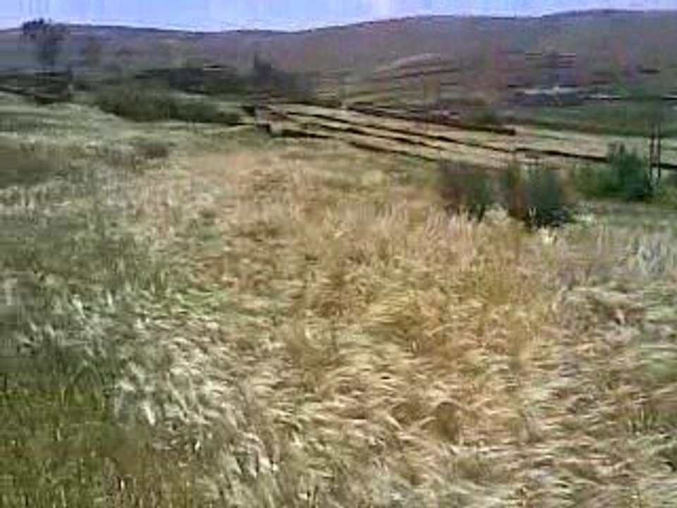 bled chleu idihya ou hmad