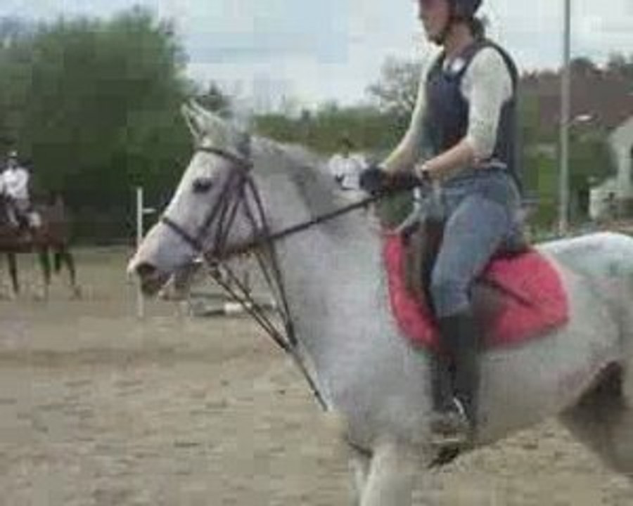 Les Trottinous et les Galopins