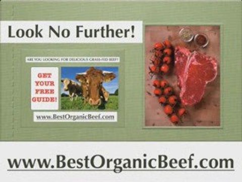 [BESTORGANICBEEF.com] grass fed organic beef, grass fed beef