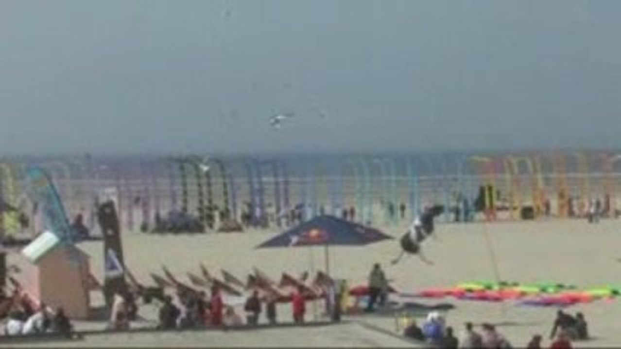 Berck Cerfs-volants 2009