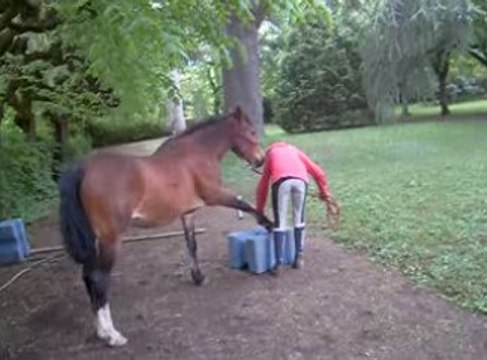 Bianca et halloween ethologie