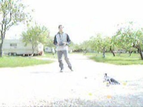 Le DF4 Zulu (by day) pour le concours tuning d'heli4